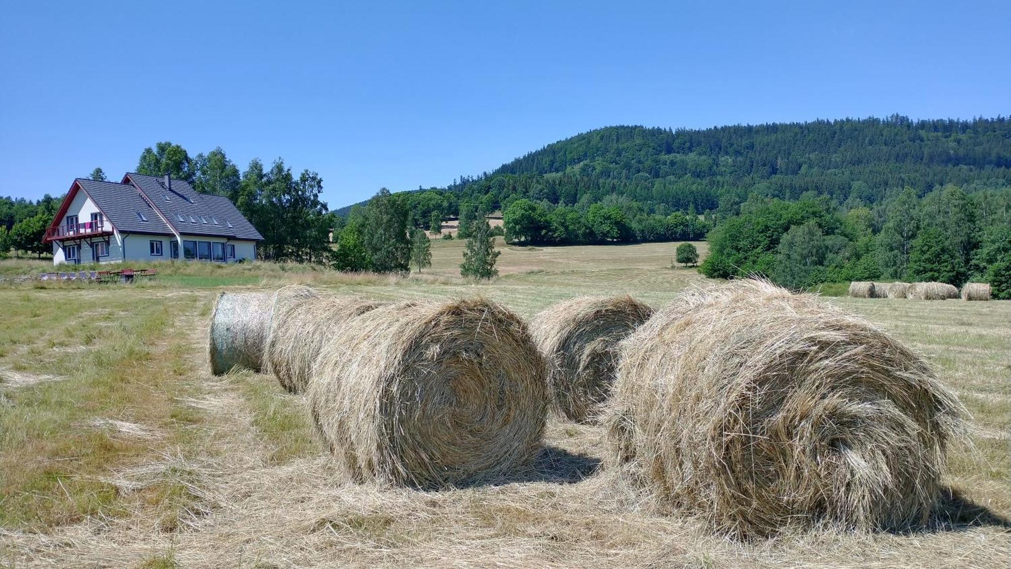 Rezydencja Ostoja Stronie Slaskie Exterior photo